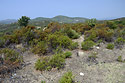 Parched land - main link