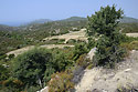 Parched land - main link