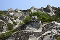 Stony terrain - main link