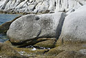 Petrified whale - main link