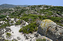 Stony terrain - main link
