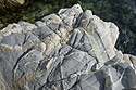 Veins - main link