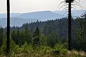 Over the "Hjek Gorge" - main link
