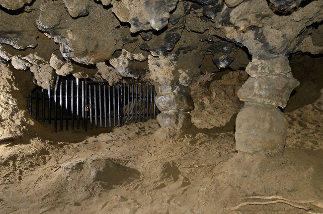V Mechovské jeskyni - menší formát