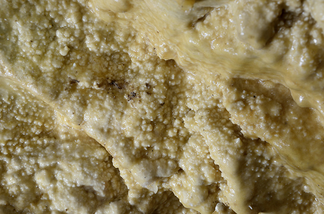 Curdled pudding - smaller format