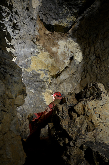 In the "Bar Cave" - smaller format