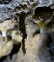 Strangeness - main link