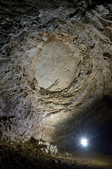 In the "Rotunda" - smaller format