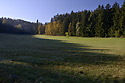 In the morning - main link