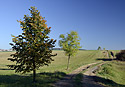 On the path - main link
