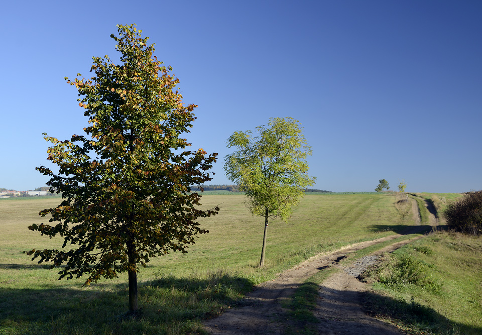 On the path - larger format