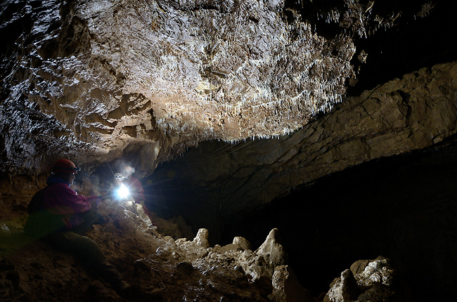 In the "Hall" - smaller format