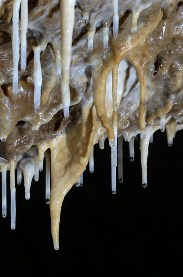 Stalactites - smaller format