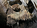 Sedimenty u stropu - hlavn odkaz