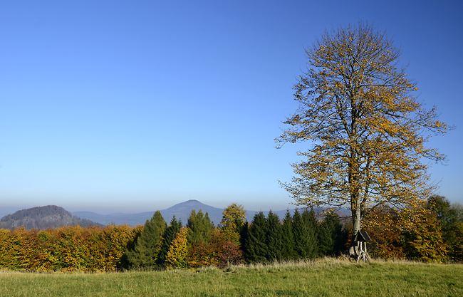 "Fir Hill" - smaller format