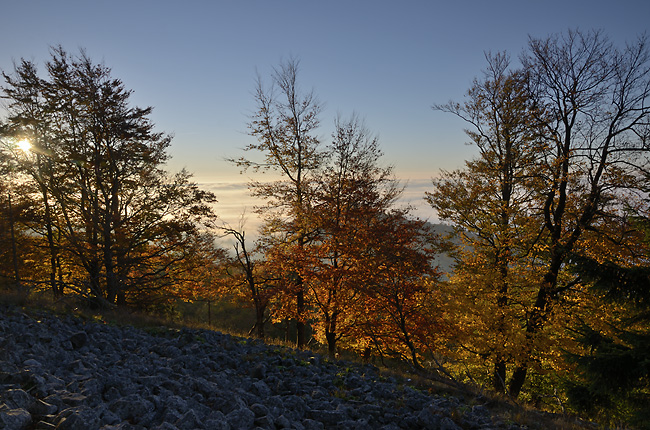 Morning on the "Cold Hill" - smaller format