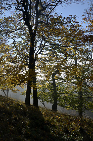 Morning on the "Cold Hill" - smaller format