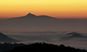 "Jetd" - main link