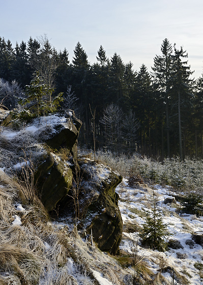 Late afternoon - smaller format