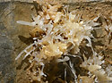Helictites - main link