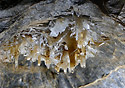 Helictites - main link