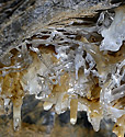 Helictites - main link