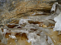 Helictites - main link