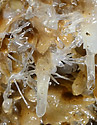 Helictites - main link