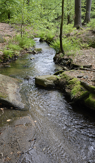 "Zvnovice creek" - smaller format