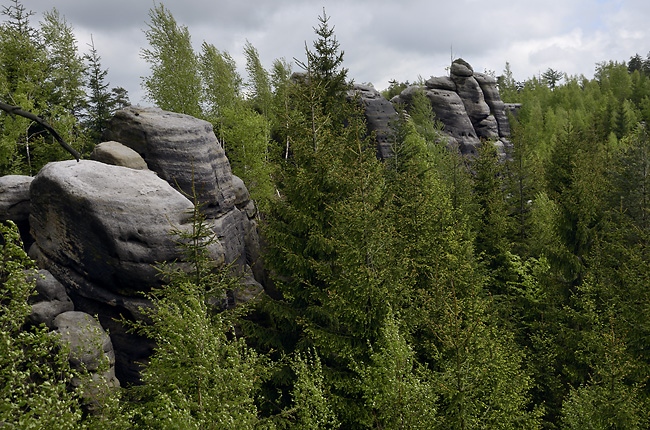 Rocks near "Janovice" - smaller format
