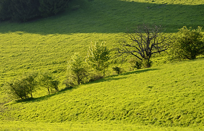 Over "Janovice" - smaller format