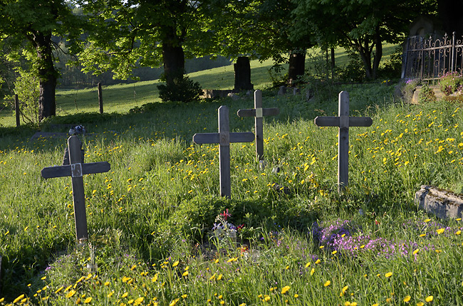 Cemetery in "Janovice" - smaller format