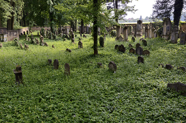 Jičínský židovský hřbitov - menší formát