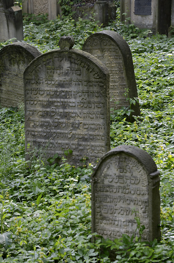 Jičínský židovský hřbitov - větší formát