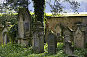 Jewish cemetery od "Jin" - main link