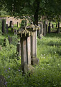 Jewish cemetery od "Jin" - main link