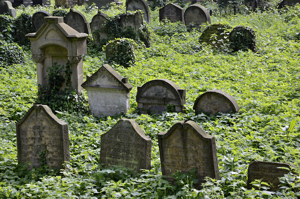 Jičínský židovský hřbitov - větší formát