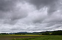 "Tbor" Hill - main link