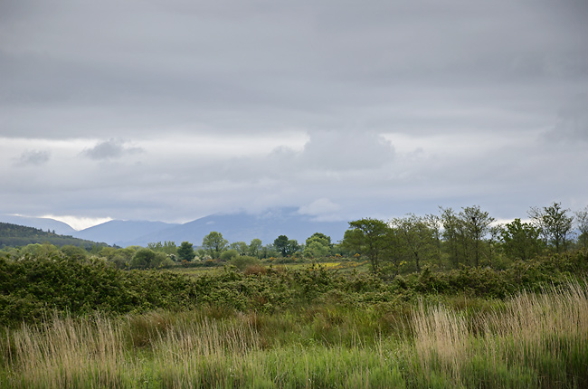 Irish landscape - smaller format