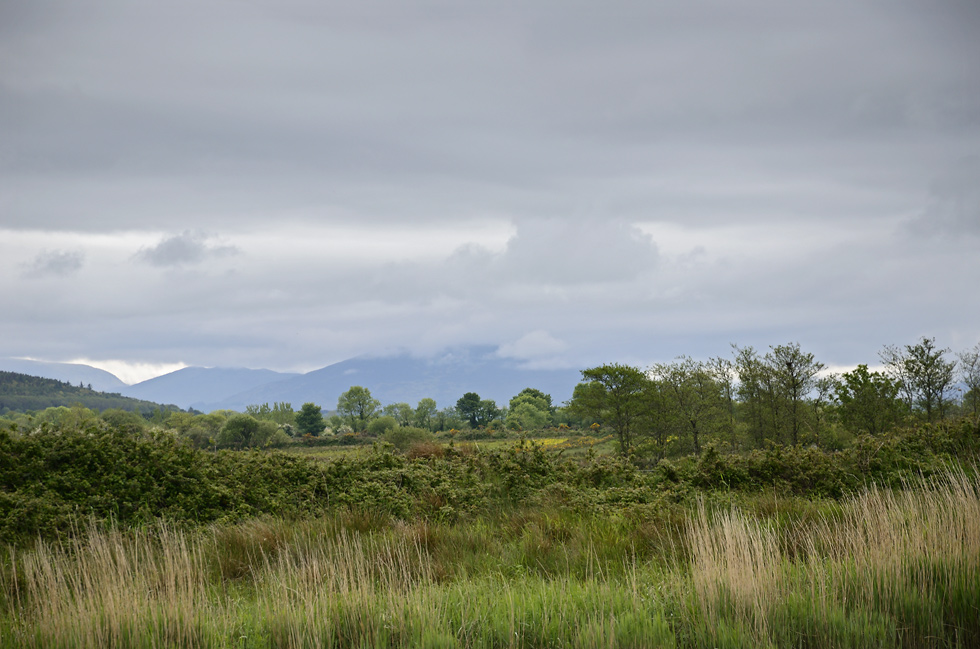 Irish landscape - larger format
