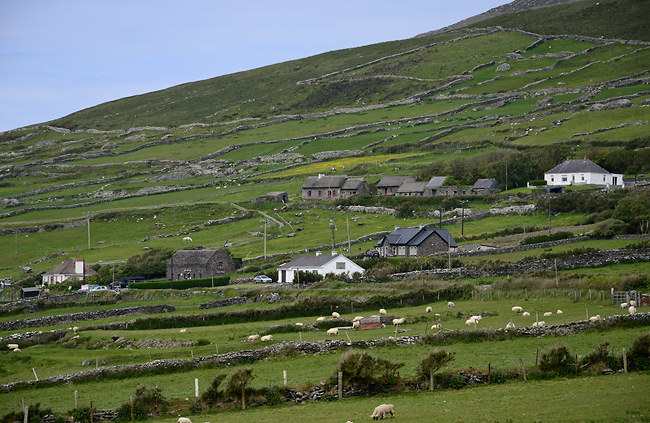 Irish theme - smaller format