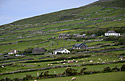 Irish theme - main link