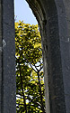 Church in Kilronan - main link