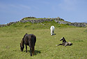 Standing stone - hlavn odkaz