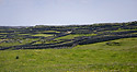 Stone walls - main link
