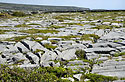 Limestone pavement - main link