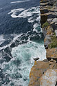 View from the cliff - main link