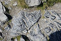 Stones in the path - main link