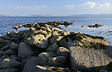 Seacoast in Galway - main link