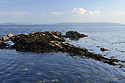Seacoast in Galway - main link